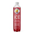 Sparkling Ice Fruit Punch Beverage 17 oz FG00251